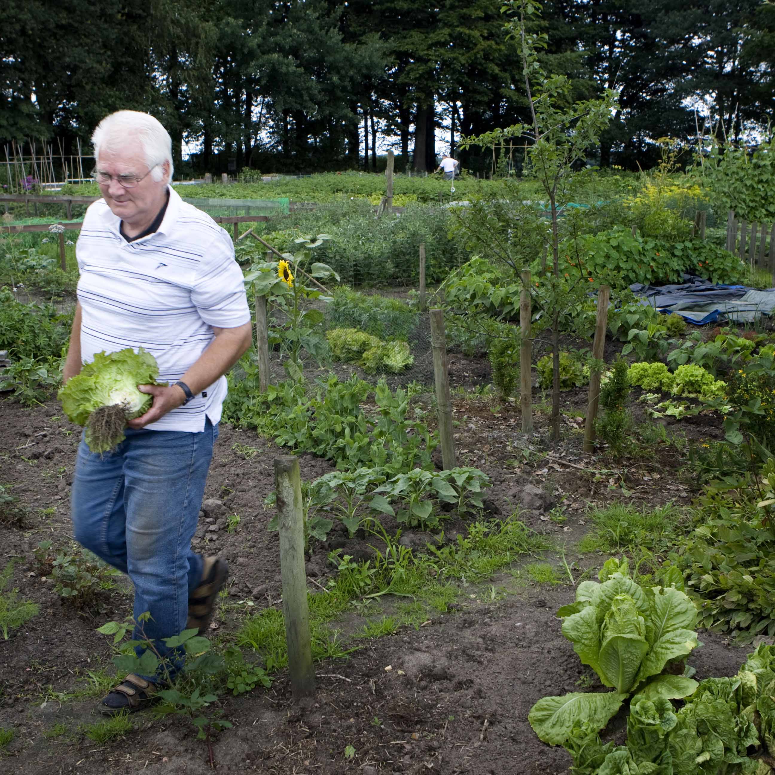 Jan van den Berg